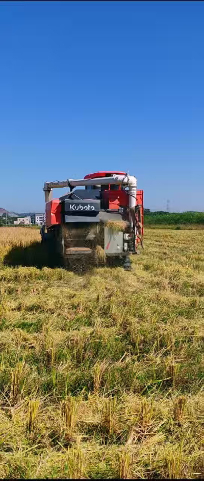 惠州基地，无人拖拉机收水稻了。