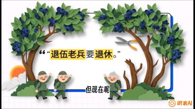 第7节：修剪决定产量（下）&mdash;&mdash;结果树的更新与疏果，课程：《蓝莓&ldquo;高产&rdquo;实战课：从选苗到丰收的10个关键点》