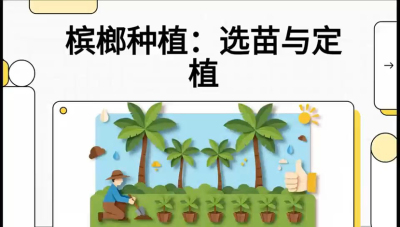 第01节：选苗与定植&mdash;&mdash;&ldquo;苗好一半收，底肥定千秋&rdquo;课程：《槟榔种植：从不懂到精通的10堂必修课》