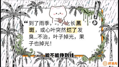 第05节：常见真菌病害&mdash;&mdash;&ldquo;炭疽与烂心，早防值千金&rdquo;《槟榔种植：从不懂到精通的10堂必修课》