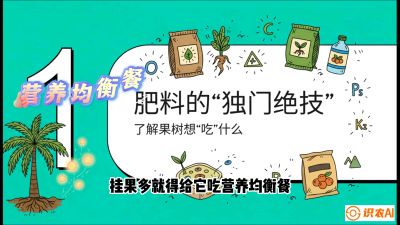 第07节：科学施肥&mdash;&mdash;&ldquo;氮磷钾配好，树壮果不倒