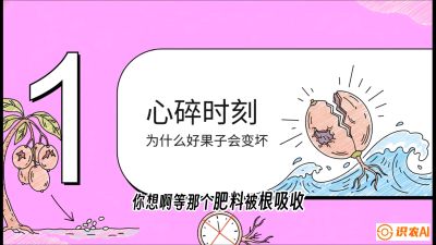 第08节：微量元素与保果&mdash;&mdash;&ldquo;补硼又补钙，果子不裂坏&rdquo;《槟榔种植：从不懂到精通的10堂必修课》