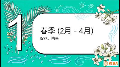 第10节：周年农事日历&mdash;&mdash;&ldquo;跟着节气走，丰产在手头&rdquo;《槟榔种植：从不懂到精通的10堂必修课》
