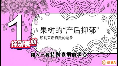 第2节：【冬肥策略】采后&ldquo;月子肥&rdquo;：大小年的精准干预术，课程：《柑橘底肥&ldquo;翻身账&rdquo;：从改土到高产的实战全书》