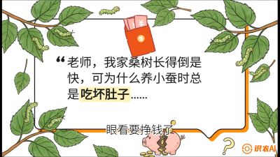第01节：不仅仅是树&mdash;&mdash;顶级品种选配策略，课程：《桑海淘金：桑树高产与蚕桑安全进阶实战课》