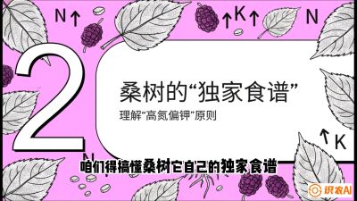 第04节：地下核动力&mdash;&mdash;桑树专用水肥一体化配方，课程：《桑海淘金：桑树高产与蚕桑安全进阶实战课》