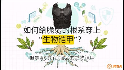 第三节：国产榴莲突围战：根系堡垒，菌根微生态构建与黄金定植窗口，课程：《国产榴莲突围战：从泰国经验到中国实操的8堂必修课（高阶实战版）》