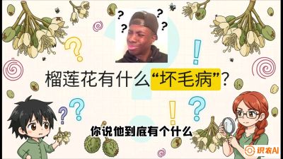 第六节：榴莲的午夜战事，夜间授粉战与花果期避雨策略，课程：《国产榴莲突围战：从泰国经验到中国实操的8堂必修课（高阶实战版）》