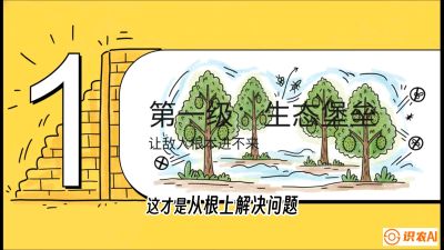 第七节：榴莲防御战：病虫害三级立体防控，疫霉菌与虫害的立体封锁线，课程：《国产榴莲突围战：从泰国经验到中国实操的8堂必修课（高阶实战版）》