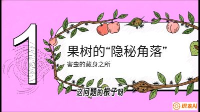 第3节：无人机专治&ldquo;打不透&rdquo;&mdash;&mdash;果树与高杆作物的穿透技巧，课程：《无人机植保搞钱必修课：从&ldquo;瞎飞&rdquo;到&ldquo;懂行&rdquo;的6步进阶》