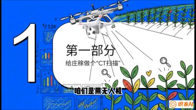 第5节：无人机也能&ldquo;看病抓药&rdquo;&mdash;&mdash;处方图与变量施肥入门，课程：《无人机植保搞钱必修课：从&ldquo;瞎飞&rdquo;到&ldquo;懂行&rdquo;的6步进阶》