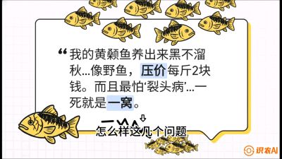 第四节：【黄金单品&middot;黄颡鱼】解决&ldquo;一点红&rdquo;与&ldquo;香蕉色&rdquo;的悖论，课程：《黄金鳞甲：2025中国淡水鱼高效养殖实战营》