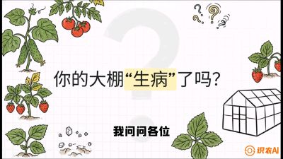 第2节（解毒篇）： 大棚里的&ldquo;红白绿&rdquo;警报&mdash;&mdash;读懂土壤盐渍化的求救信号，课程：《揭秘土壤的秘密：让土地帮你赚钱》#识农AI