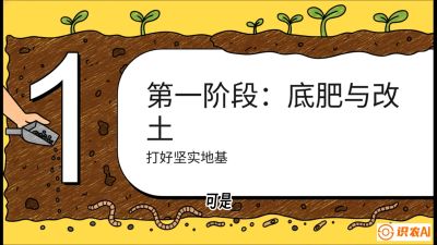 第6节（统筹篇）： 省钱又增产的&ldquo;黄金配比&rdquo;&mdash;&mdash;不同作物全年的养土实操方案，课程：《揭秘土壤的秘密：让土地帮你赚钱》#识农AI