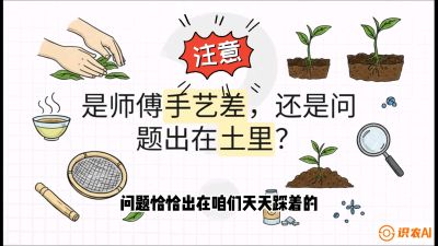 第02节（土肥篇）：告别&ldquo;苦涩水味&rdquo;：揭秘&ldquo;碳氮比&rdquo;调控术，种出自带兰花香的好茶底，课程：《茶金时代：从&ldquo;看天吃饭&rdquo;到&ldquo;精准控局&rdquo;的茶叶高产提质实战课》