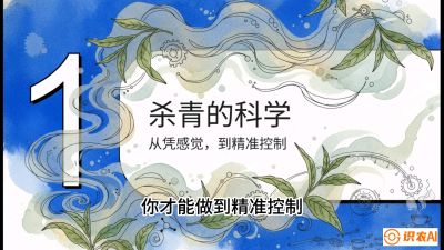 第05节（加工篇）：决胜2分钟：用&ldquo;数字温控&rdquo;破解杀青不匀，复刻大师级手工口感，课程：《茶金时代：从&ldquo;看天吃饭&rdquo;到&ldquo;精准控局&rdquo;的茶叶高产提质实战课》