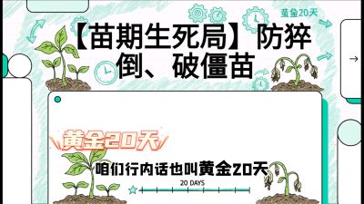 第2节：【苗期生死局】防猝倒、破僵苗，决定后期产量的&ldquo;黄金20天&rdquo;，课程：《辣椒种植实战特训营，从工业辣椒到精品小米辣，教你如何把&ldquo;草&rdquo;种成&ldquo;金&rdquo;》