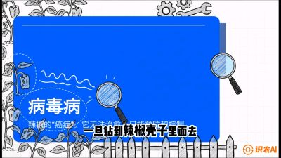 第5节：【病毒病阻击】辣椒的&ldquo;癌症&rdquo;怎么治？从&ldquo;绝收恐慌&rdquo;到&ldquo;带毒生产&rdquo;的逆转术，课程：《辣椒种植实战特训营，从工业辣椒到精品小米辣，教你如何把&ldquo;草&rdquo;种成&ldquo;金&rdquo;》
