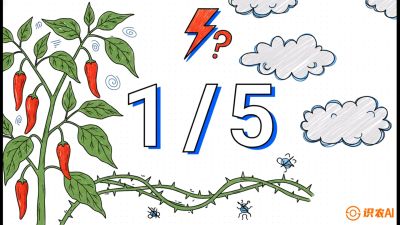 第6节：【花果爆发术】落花落果的五大元凶，与&ldquo;三喷一保&rdquo;坐果黑科技，课程：《辣椒种植实战特训营，从工业辣椒到精品小米辣，教你如何把&ldquo;草&rdquo;种成&ldquo;金&rdquo;》