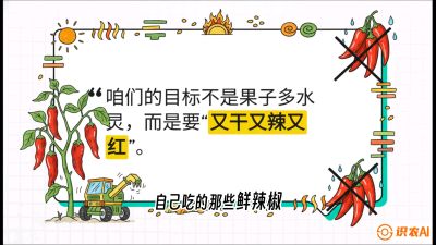 第7节：【工业辣椒专场】追求极致辣度！干物质提升与机械化采收的&ldquo;催红秘籍&rdquo;，课程：《辣椒种植实战特训营，从工业辣椒到精品小米辣，教你如何把&ldquo;草&rdquo;种成&ldquo;金&rdquo;》