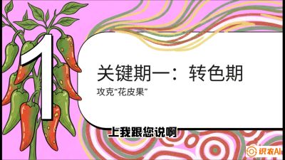第8节：【小米辣线椒专场】颜值即正义！防花皮、防炭疽，打造收购商抢着要的&ldquo;精品果&rdquo;，课程：《辣椒种植实战特训营，从工业辣椒到精品小米辣，教你如何把&ldquo;草&rdquo;种成&ldquo;金&rdquo;》