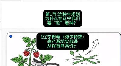 第一节： 选种与规划&mdash;&mdash;为什么在辽宁我们要&ldquo;砍&rdquo;着种？，课程：《辽宁树莓（海尔特兹）高产避坑实战课：从保苗到高价》