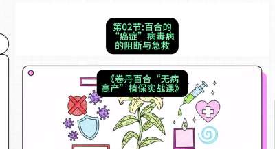 第02节：百合的&ldquo;癌症&rdquo;&mdash;&mdash;病毒病的阻断与急救，课程：《卷丹百合&ldquo;无病高产&rdquo;植保实战课》#识农AI