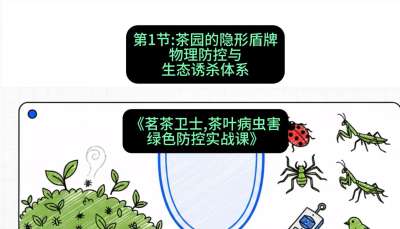 第01节：茶园的&ldquo;隐形盾牌&rdquo;&mdash;&mdash;物理防控与生态诱杀体系，课程：《茗茶卫士&mdash;&mdash;茶叶病虫害绿色防控实战课》#识农AI