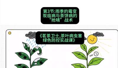 第03节：雨季的霉变&mdash;&mdash;炭疽病与茶饼病的&ldquo;抢晴&rdquo;战术，课程：《茗茶卫士&mdash;&mdash;茶叶病虫害绿色防控实战课》#识农AI