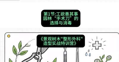 第01节：工欲善其事&mdash;&mdash;园林&ldquo;手术刀&rdquo;的选择与消毒，课程：《景观树木&ldquo;整形外科&rdquo;造型实战特训营》#识农AI