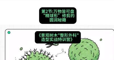 第02节：万物皆可盘&mdash;&mdash;&ldquo;精球形&rdquo;修剪的圆润秘籍，课程：《景观树木&ldquo;整形外科&rdquo;造型实战特训营》#识农AI