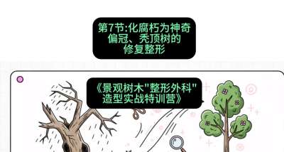 第07节：化腐朽为神奇&mdash;&mdash;偏冠、秃顶树的修复整形，课程：《景观树木&ldquo;整形外科&rdquo;造型实战特训营》#识农AI