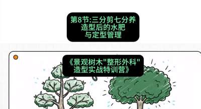 第08节：三分剪七分养&mdash;&mdash;造型后的水肥与定型管理，课程：《景观树木&ldquo;整形外科&rdquo;造型实战特训营》#识农AI
