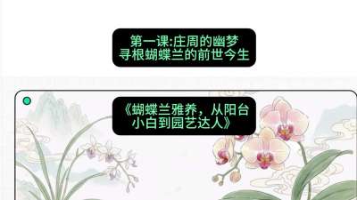 第一节：庄周的幽梦：寻根蝴蝶兰的前世今生，课程：《蝴蝶兰雅养六讲：从阳台小白到园艺达人》#识农AI