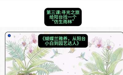 第三节：寻光之旅：给阳台找一个&ldquo;仿生雨林&rdquo;，课程：《蝴蝶兰雅养六讲：从阳台小白到园艺达人》#识农AI