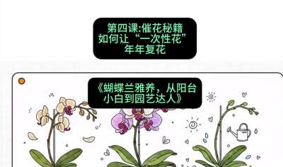 第四节：催花秘籍：如何让&ldquo;一次性花&rdquo;年年复花，课程：《蝴蝶兰雅养六讲：从阳台小白到园艺达人》#识农AI
