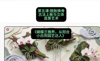 第五节：脱胎换骨：古法上板与立体造景艺术，课程：《蝴蝶兰雅养六讲：从阳台小白到园艺达人》#识农AI