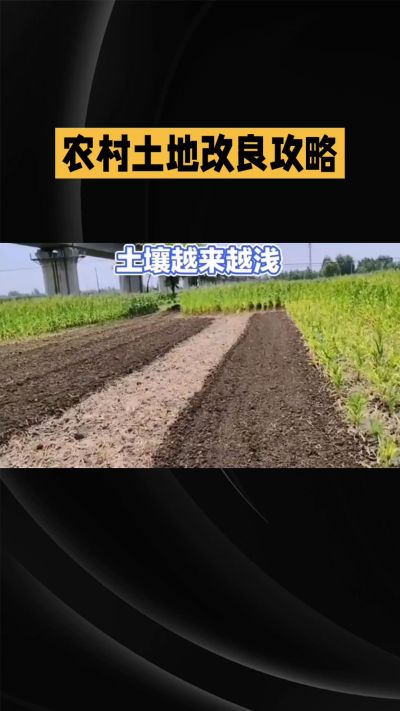 1. 先搞懂：你到底要改良哪块地、种什么
 
- 土土土在哪里？
就是你自家农田、菜地、果园，哪块地想种庄稼，就测哪块地的土。
​
- 有水没有水？
有水能浇：改良更省事，施肥、调酸碱都好操作。
没水
