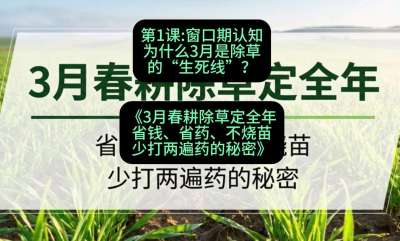 第1节：窗口期认知，为什么3月是除草的&ldquo;生死线&rdquo;？，课程：《3月春耕除草定全年：省钱、省药、不烧苗、少打两遍药的秘密》