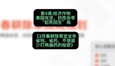 第4节：经济作物果园攻坚，抗性杂草&ldquo;起死回生&rdquo;局，课程：《3月春耕除草定全年：省钱、省药、不烧苗、少打两遍药的秘密》